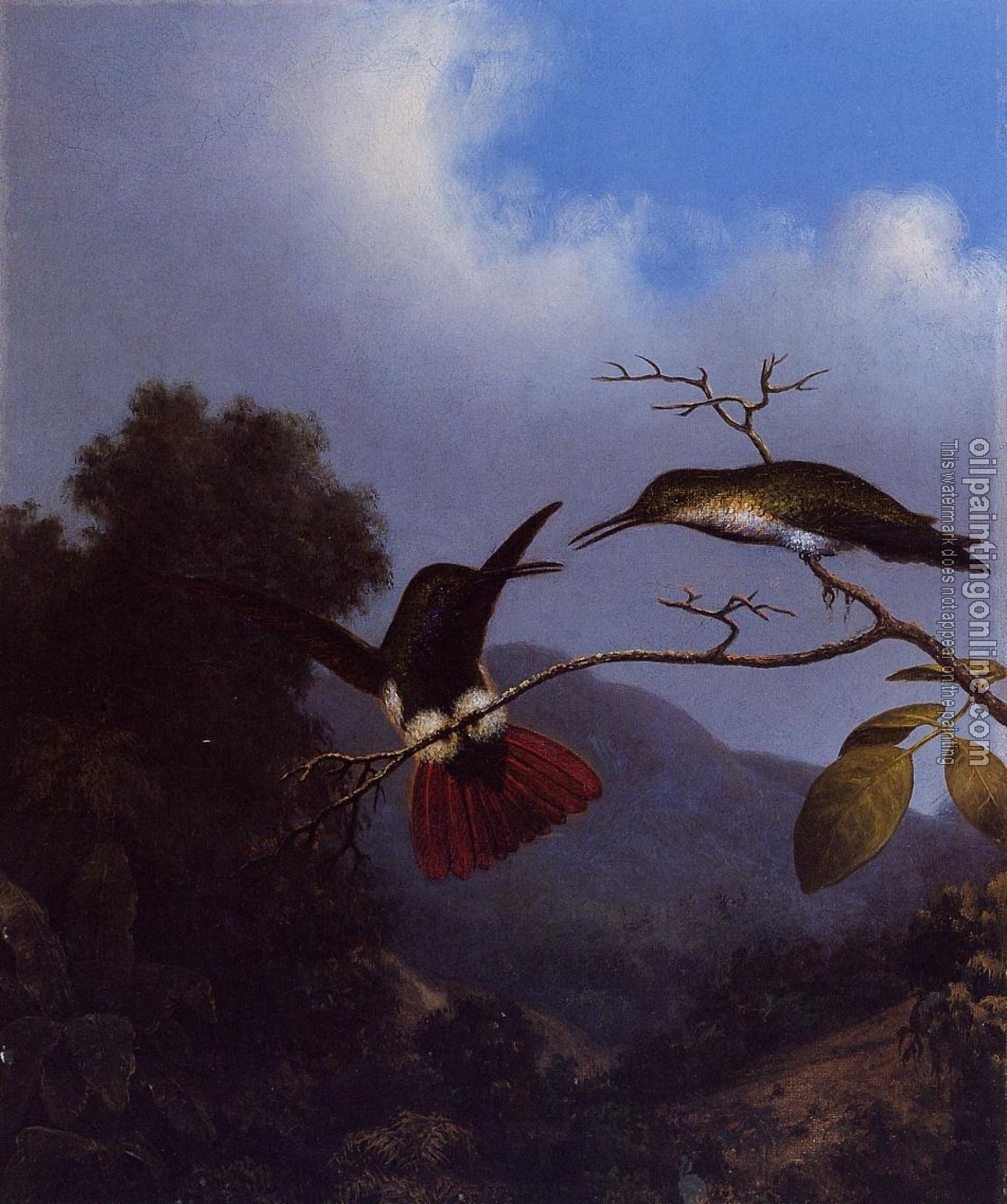 Heade, Martin Johnson - Black-Throated Mango